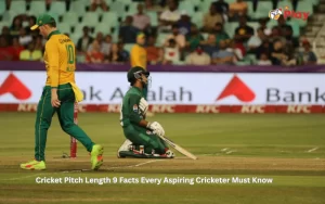 cricket pitch length