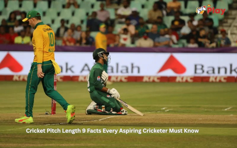 cricket pitch length
