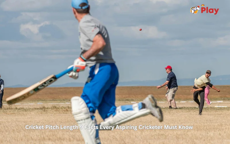 cricket pitch length